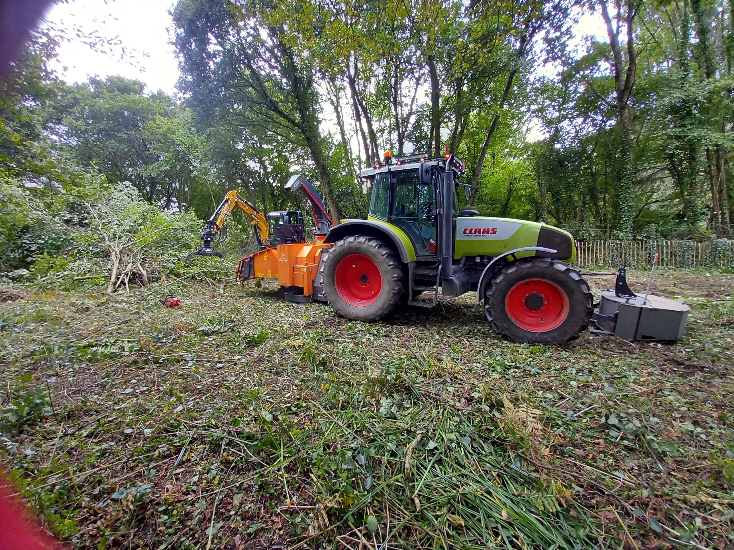 Tree services and chainsaw operators